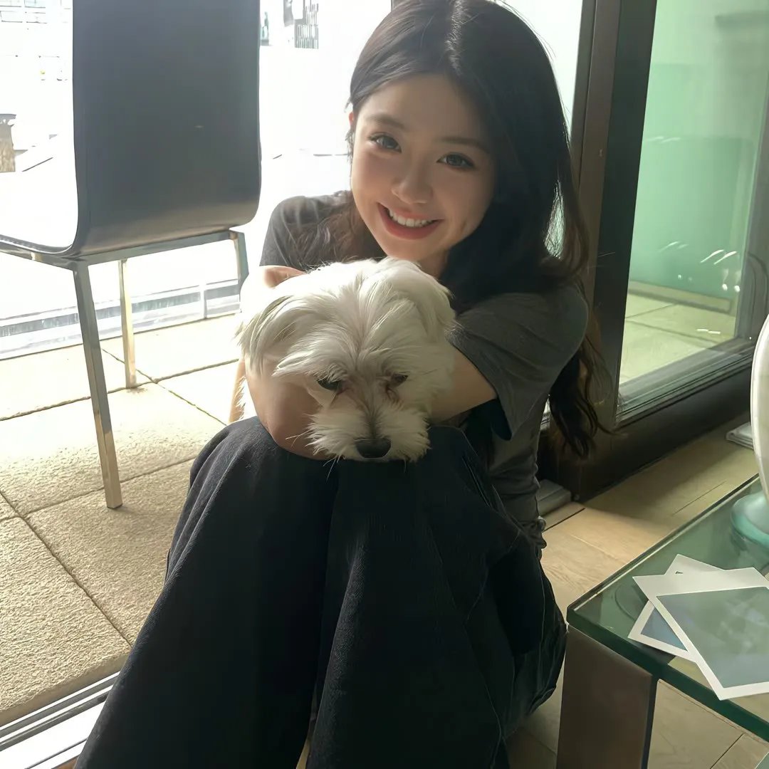 琼森帮归来